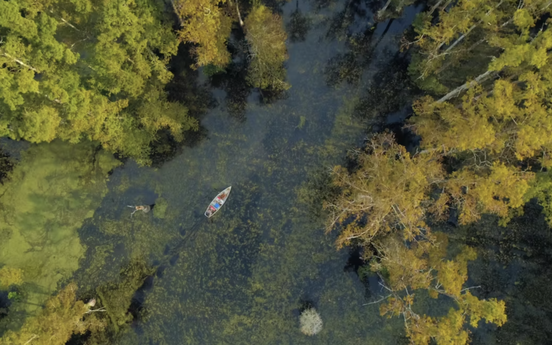 Cypress Gardens Drone 2