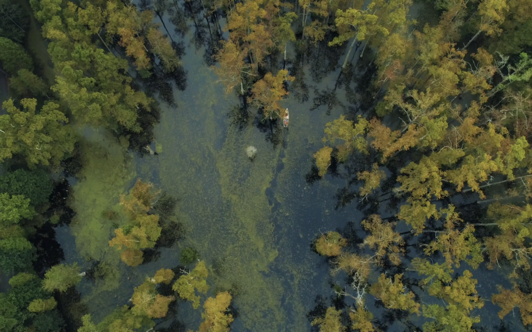 Cypress Gardens Drone