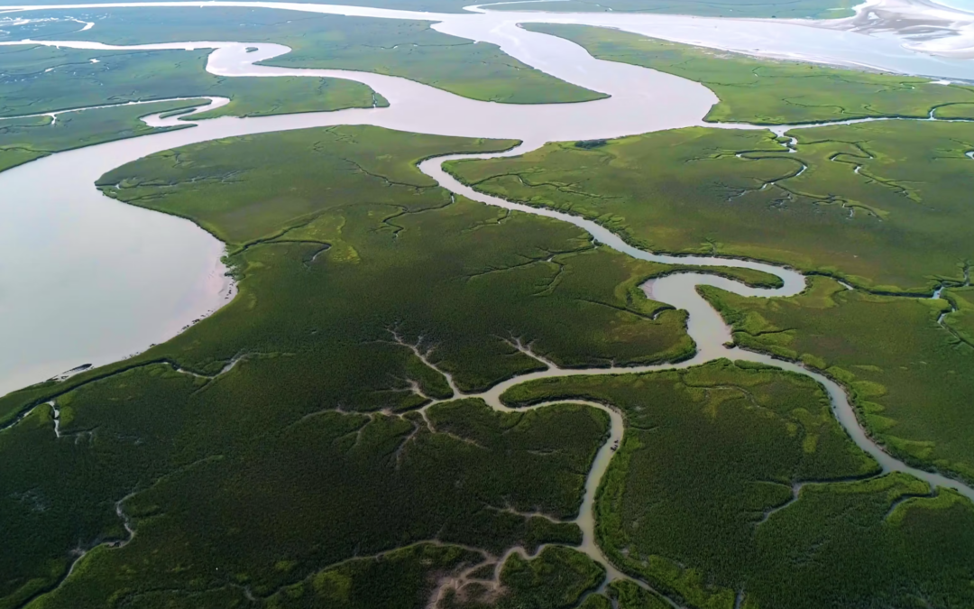 Chs Marsh Drone 6