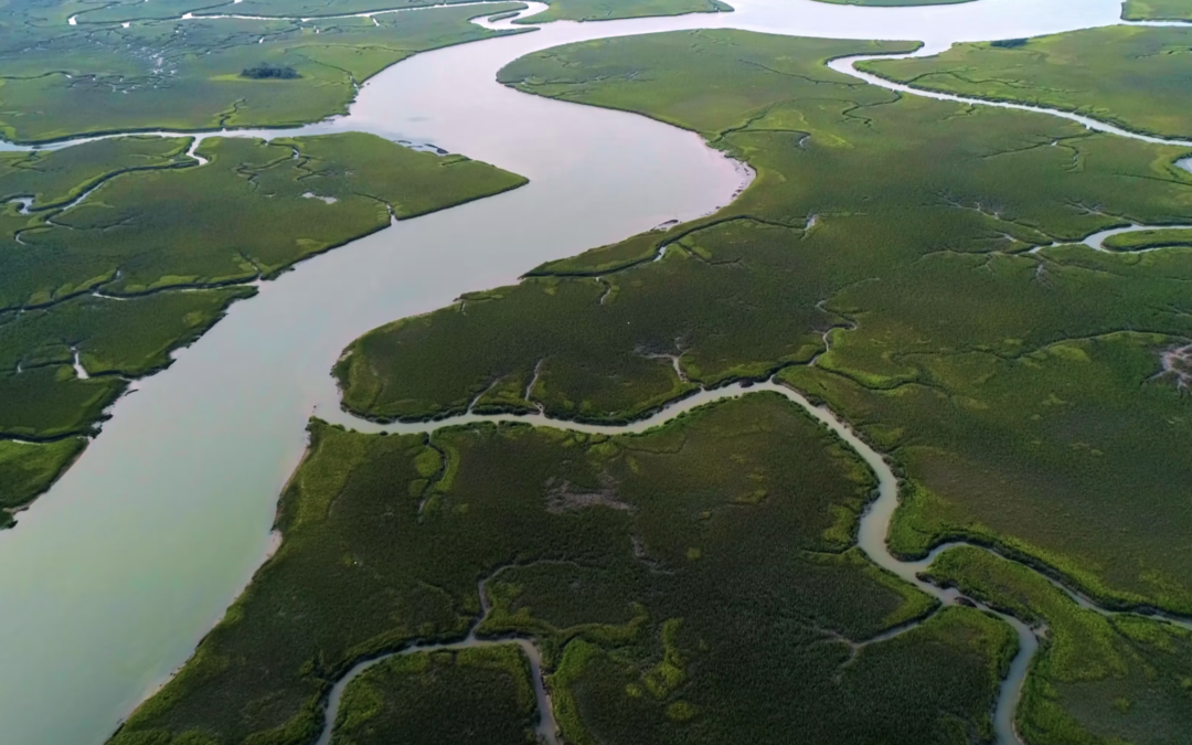 Chs Marsh Drone 5