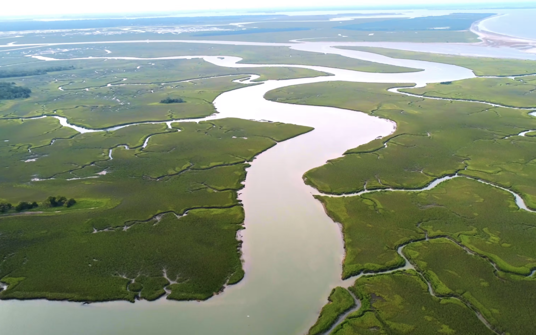 Chs Marsh Drone 4