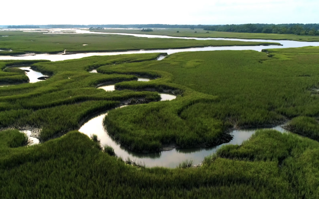 Chs Marsh Drone 2