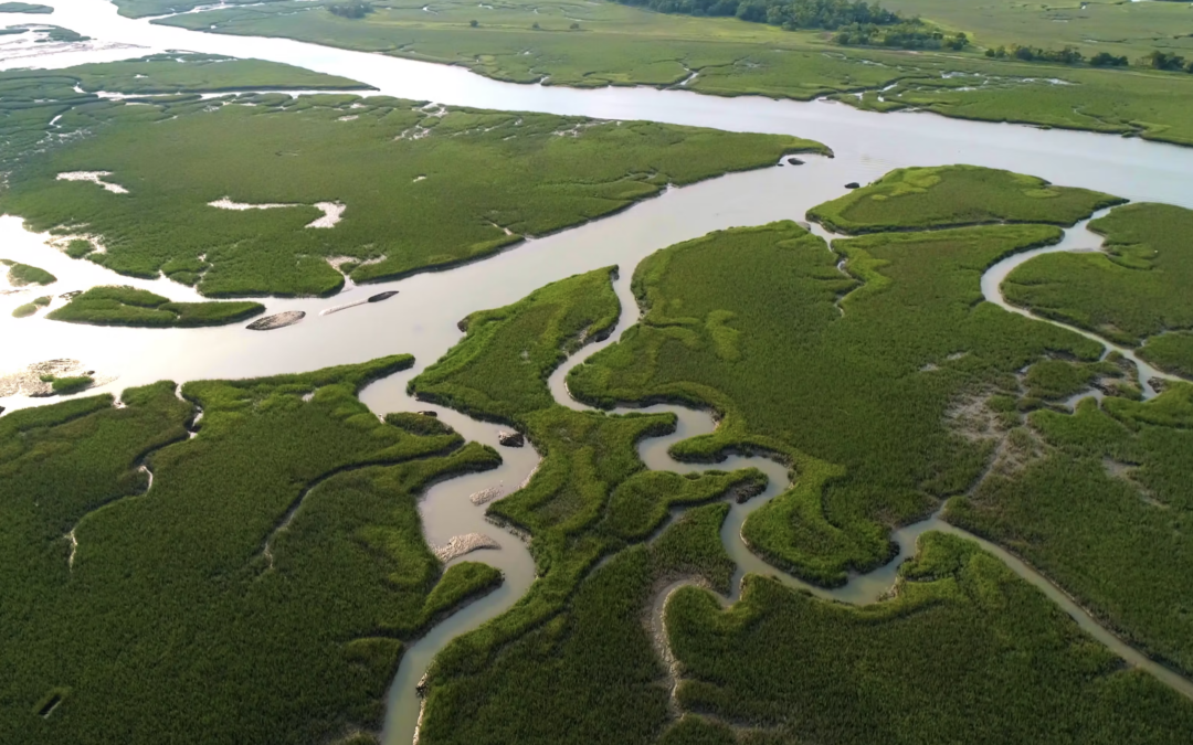 Chs Marsh Drone