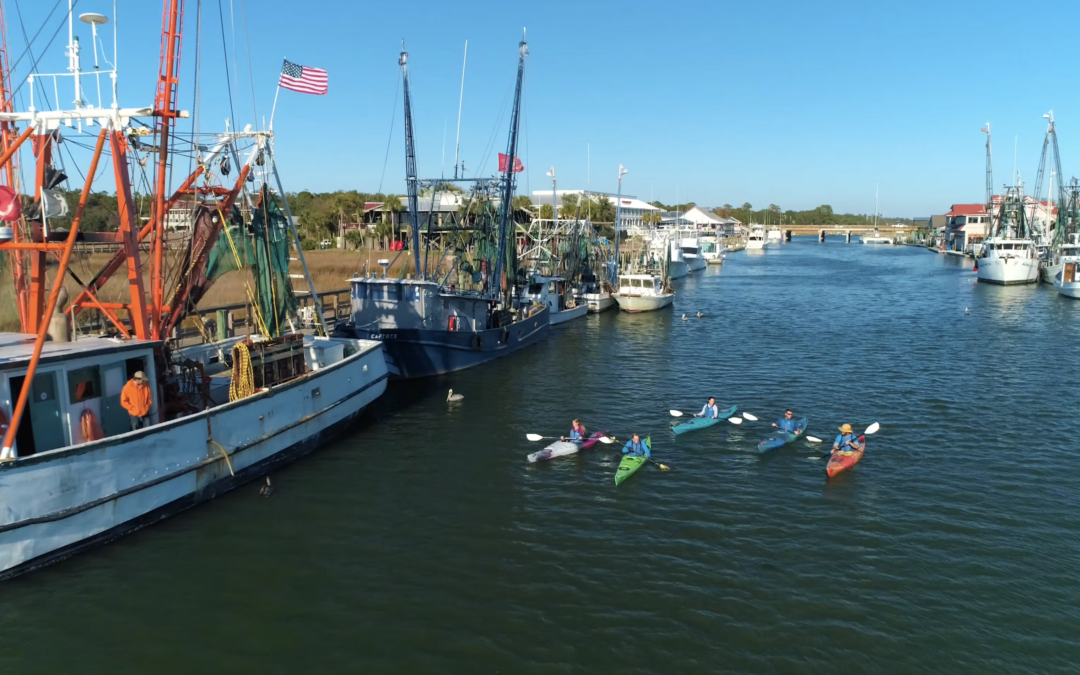 Shem Creek Kayakers 2