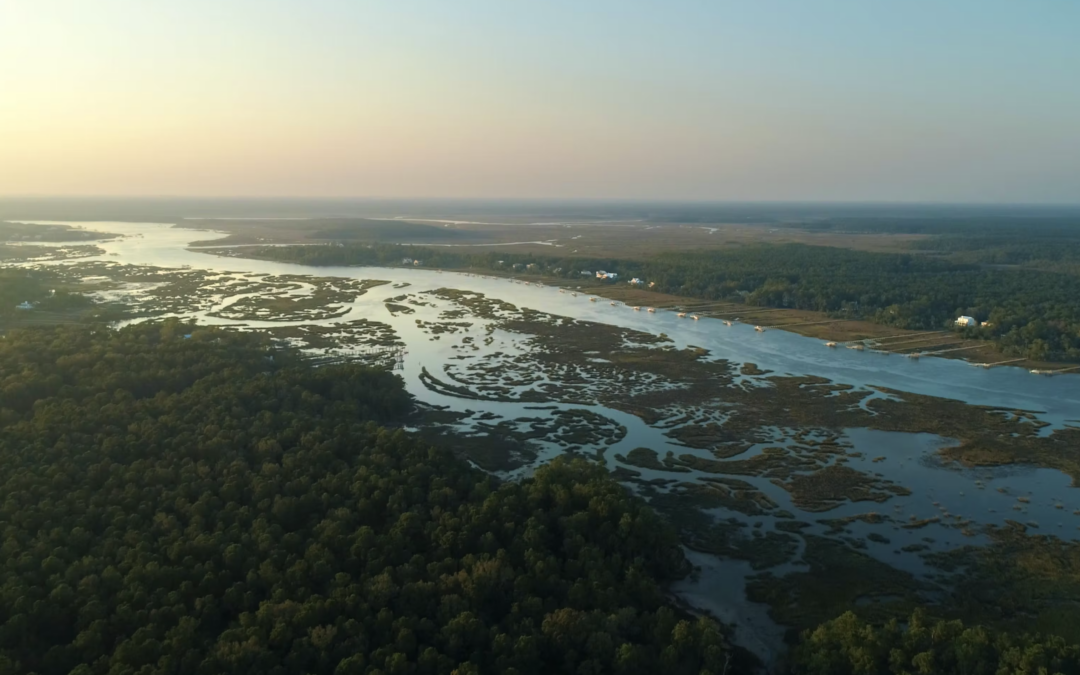 Wando River Aerial